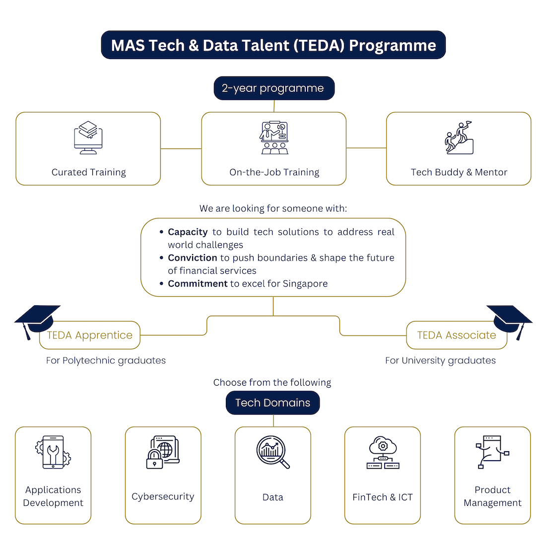 TEDA Programme Overview