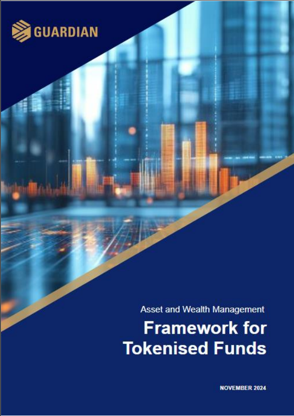 funds framework report