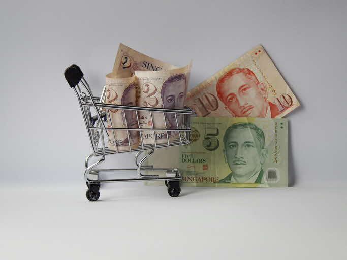 basket of money